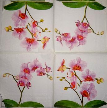 027 Orchideen - 3-lagig (gelb) - Ihr